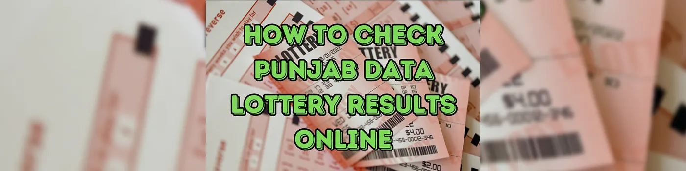 How to Check Punjab Data Lottery Results Online